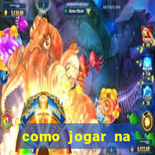 como jogar na loteca pela internet